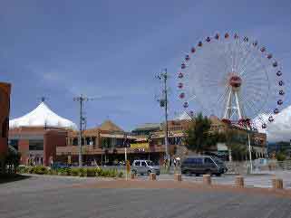 lCX|bg̊ϗ