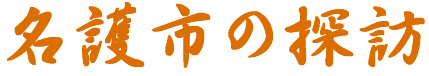 s̎U
