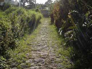 野嵩の石畳道