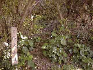大山貝塚