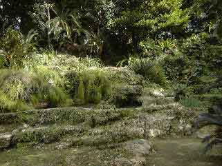 伊江殿内庭園