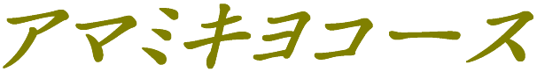 A}~LR[X