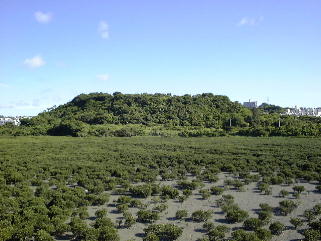 豊見城城址