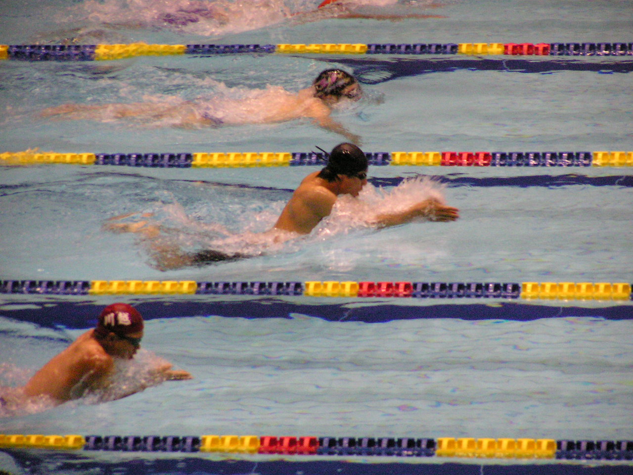 [Swim]